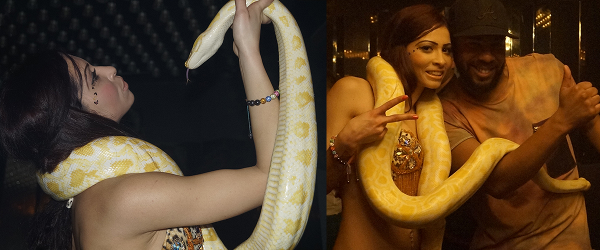 Turkse Themafeest met slangen