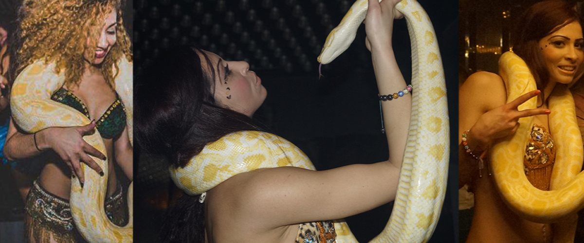 Slangen en slangenhandelaars