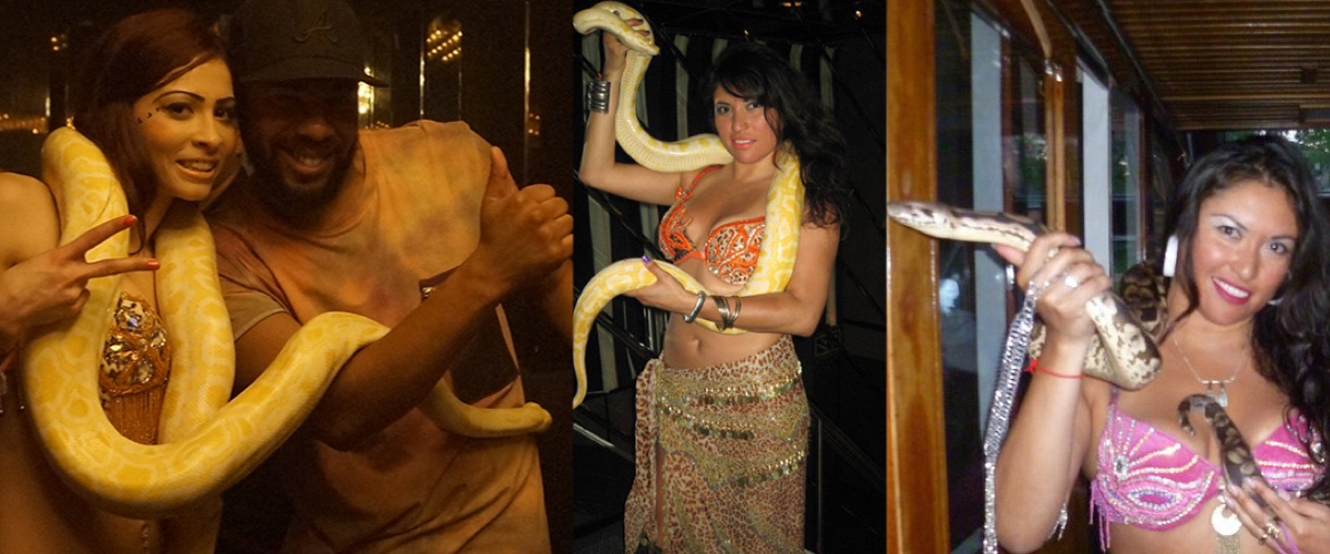 Slangen voor Nachtclubs